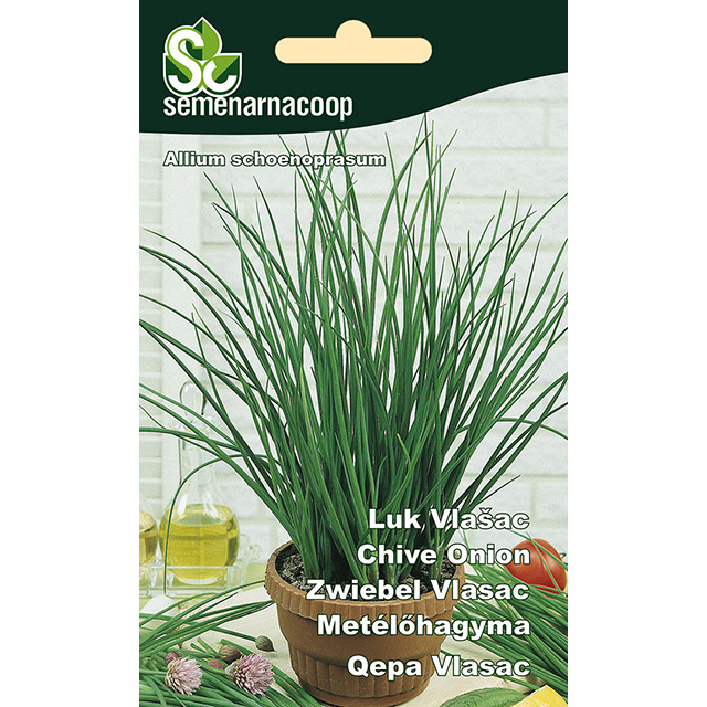 Praziluk domaci dugi semenarna